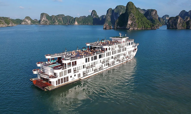 Cử nhân thất nghiệp về quê làm ông chủ vườn 'cây tỷ USD'